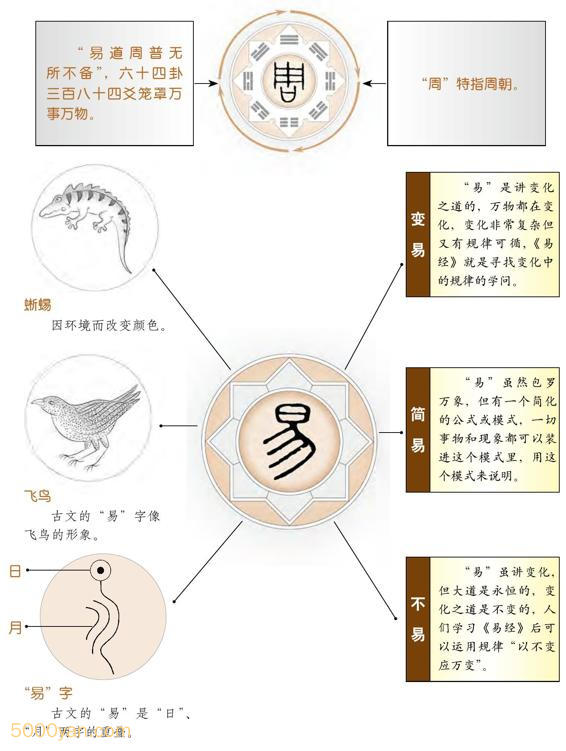 黄小娥の易入門 易占六十四卦(竹製) 」易経 易学 五十易 断易